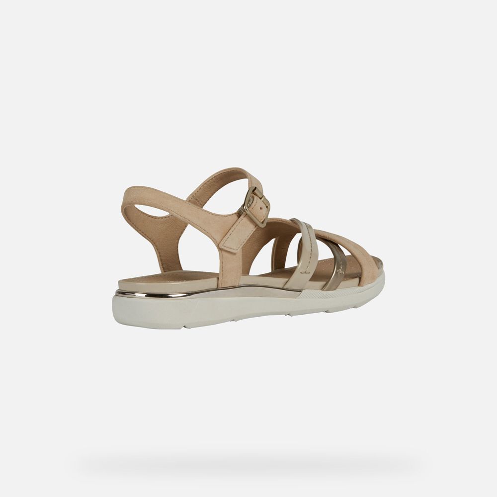 Sandalias Geox Senhora Bege Escuro - Hiver - VBKXR8302